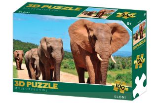 Obrázek z Puzzle 3D - Sloni 100 dílků 
